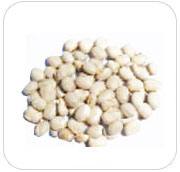 Mucuna Pruriens White Seeds